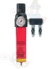 sata-424-filter-pressure-regulator-two-air-outlets_2.jpg