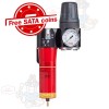 l21101641_Free_Sata_coin.jpg