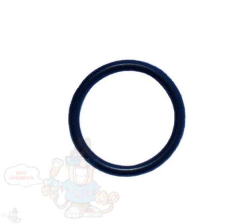 Sata-199471-o-ring-4400-.jpg
