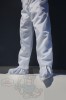 508A8875fin.jpg
