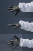 508A8878fin.jpg